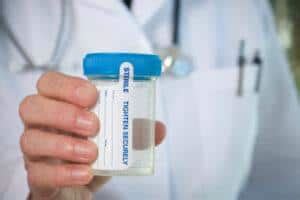 hide urine during drug test